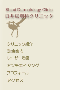 畆ȃNjbN